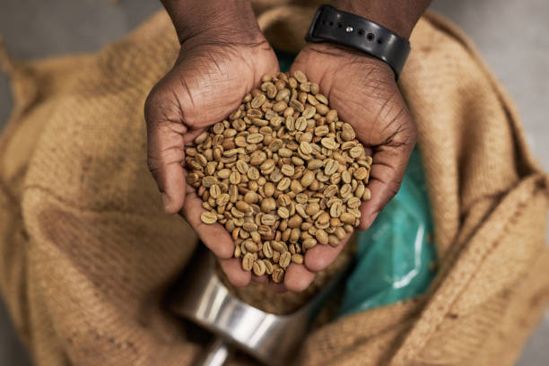 Peran Distributor Kopi dalam Menjaga Stabilitas Pasokan Industri