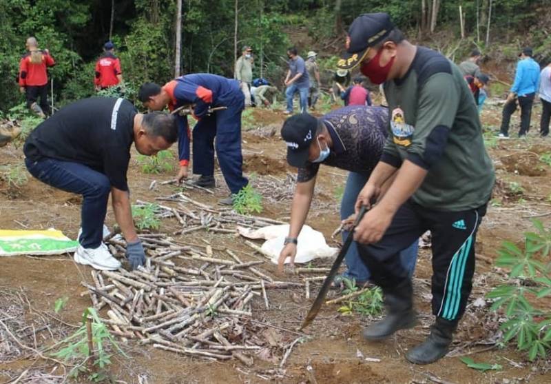 Penanaman Ubi Kayu Massal dengan Tema "Gemar Menanam"