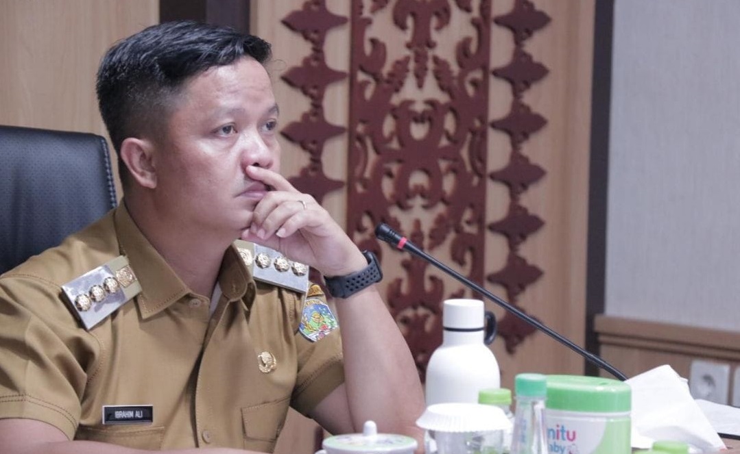 Audiensi dengan Dirjen Bina Administrasi Kewilayahan Via Daring
