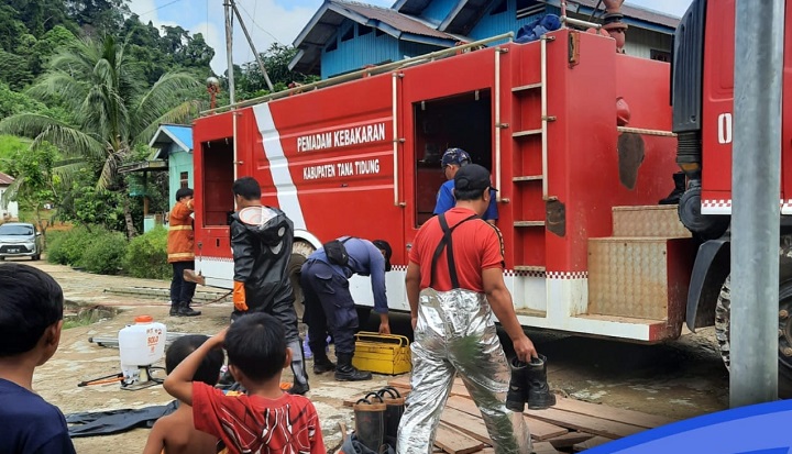 Proses Evakuasi Sarang Tawon Vespa