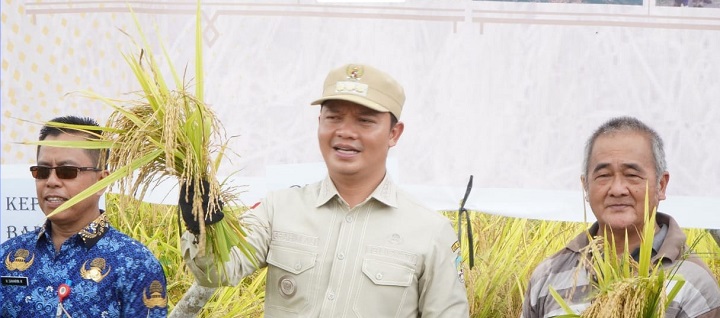 Panen Raya di Demplot Pertanian Desa Gunawan