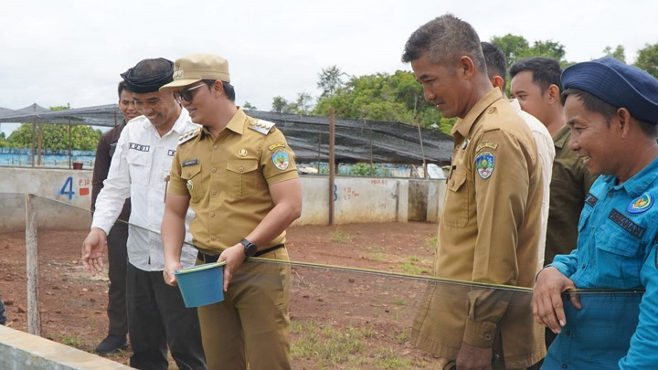 Bantuan Hibah Pemerintah Daerah Kabupaten Tana Tidung Dukung Pertanian, Perikanan, dan Peternakan