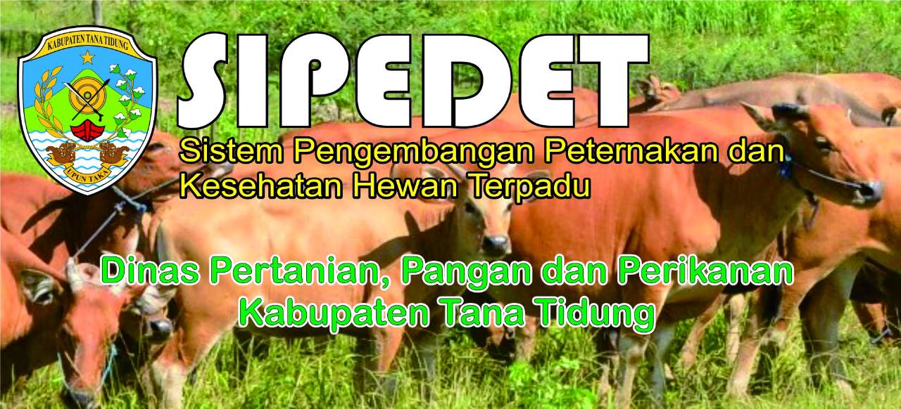 Subdomain SIPEDET