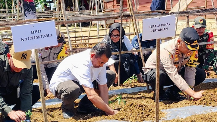 Polres Tana Tidung Bersama Dinas Pertanian Gelar Tanam Bersama Program Ketahanan Pangan