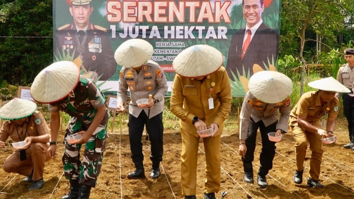 Penanaman Jagung Serentak 1 Juta Hektare, Dukung Swasembada Pangan 2025
