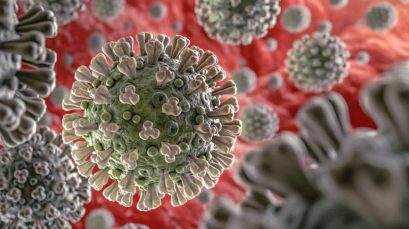Virus Corona